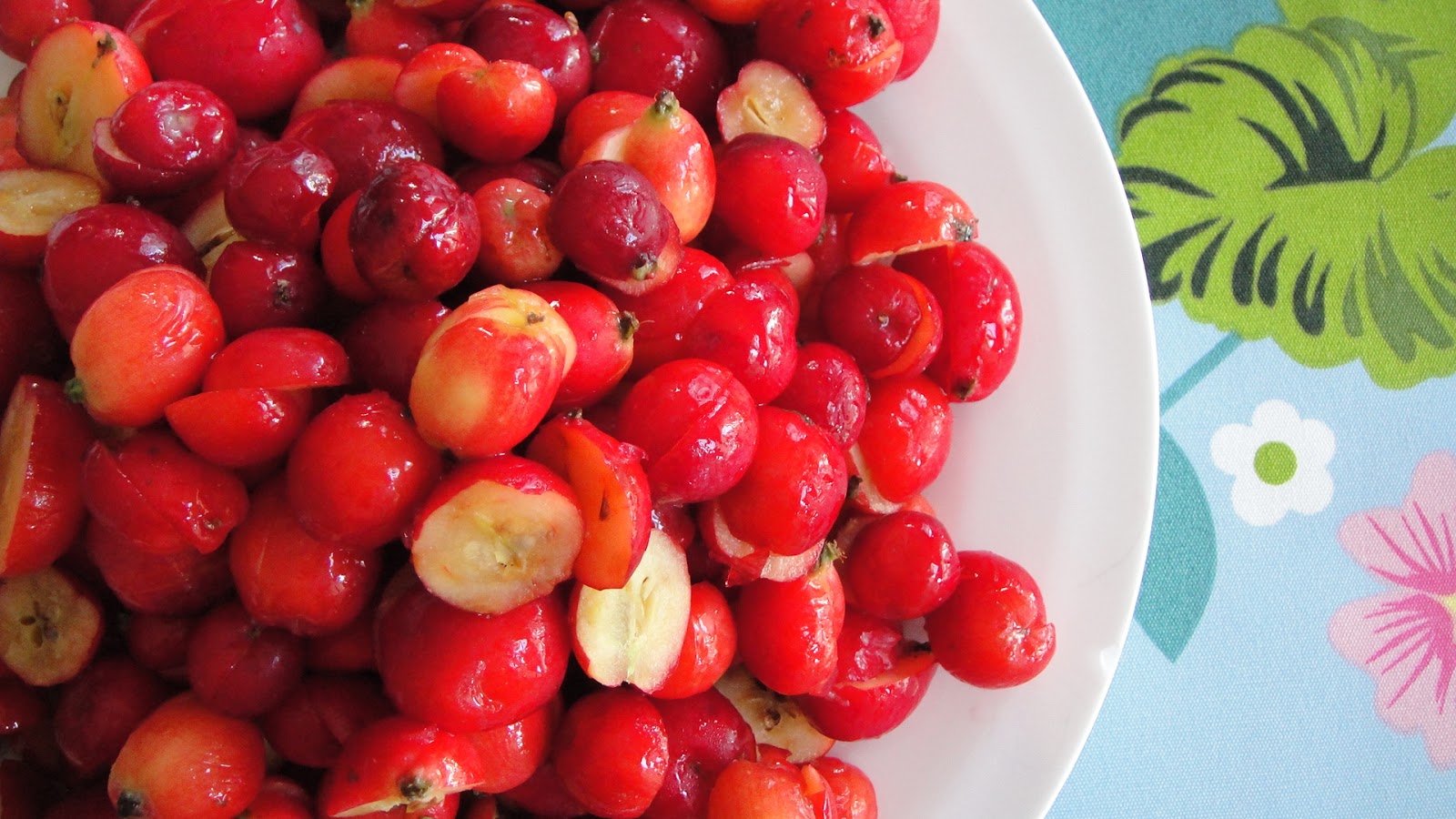 CRAB APPLE SCHNAPPS Life Without Lemons