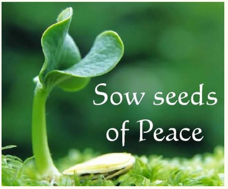 SOW SEEDS OF PEACE