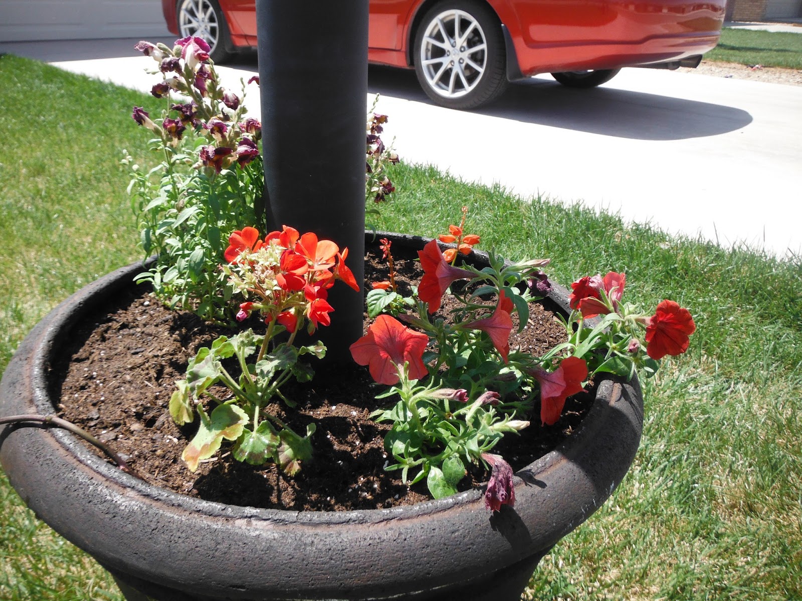 My Garden Our Life Light Pole