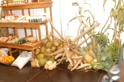 Feira agrícola movimenta produtores em Nampula 