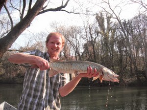 Fish of the Year: 2012