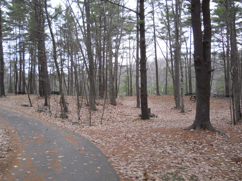 Cub Scout Pack 722 Wakefield Massachusetts Sudden Pond Campground