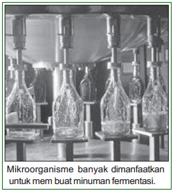 Gambar Mikroorganisme untuk Membuat Roti