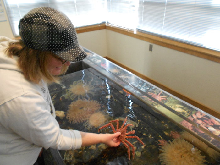 From Kansas to Kodiak... Marine Research Center Touch Tank