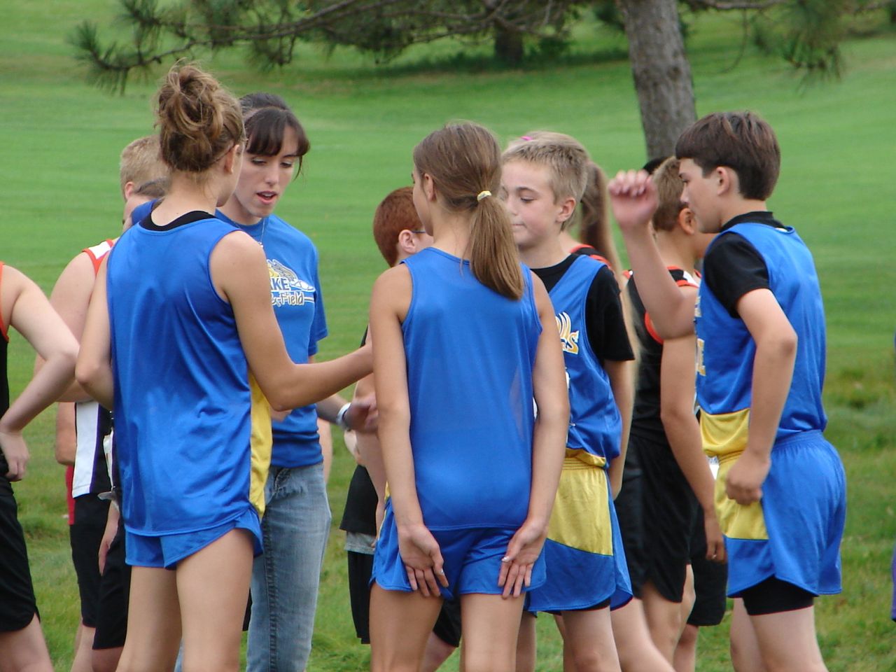 coach classic quiltville