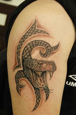 3D Snakes Tattoo on Biceps and Triceps