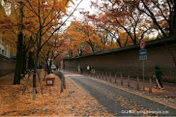 JEONGDONG-GIL ROAD  貞洞길