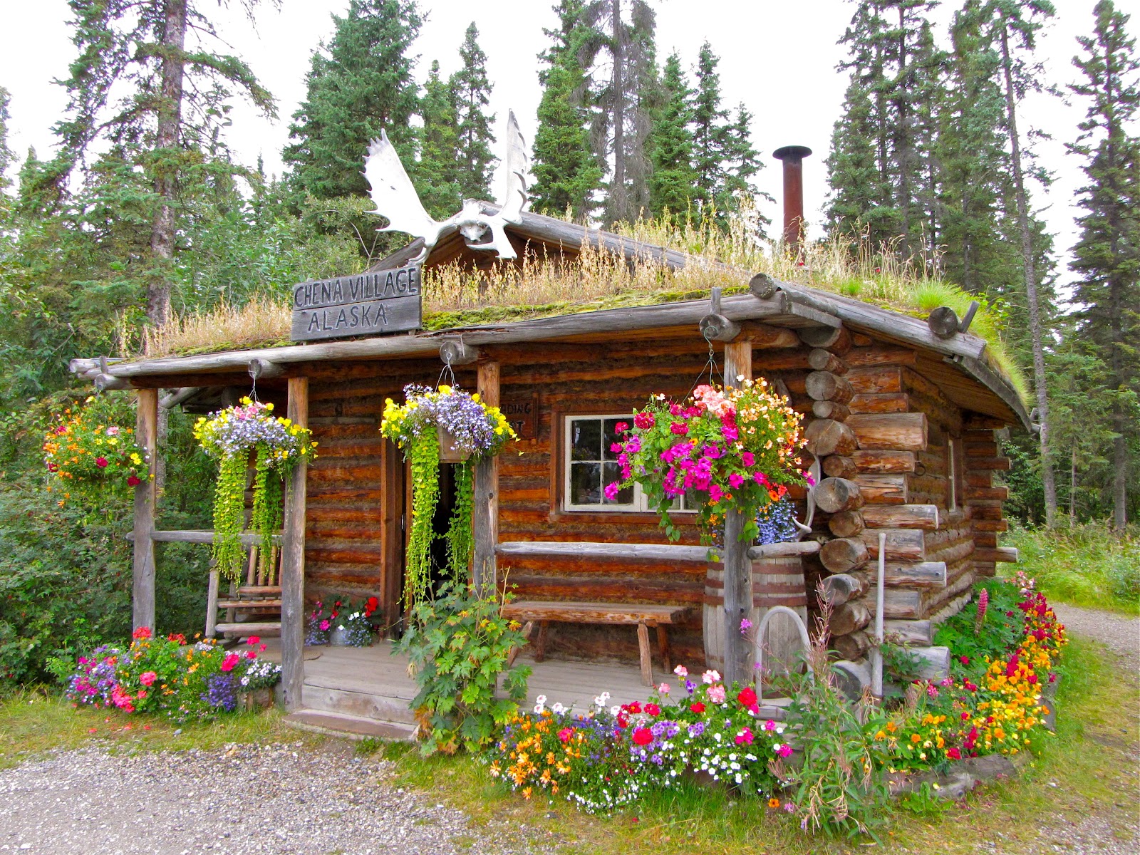 Amy's Dusty Trail Alaxsxaq. Alyeska. Alaska Fairbanks/Chena River