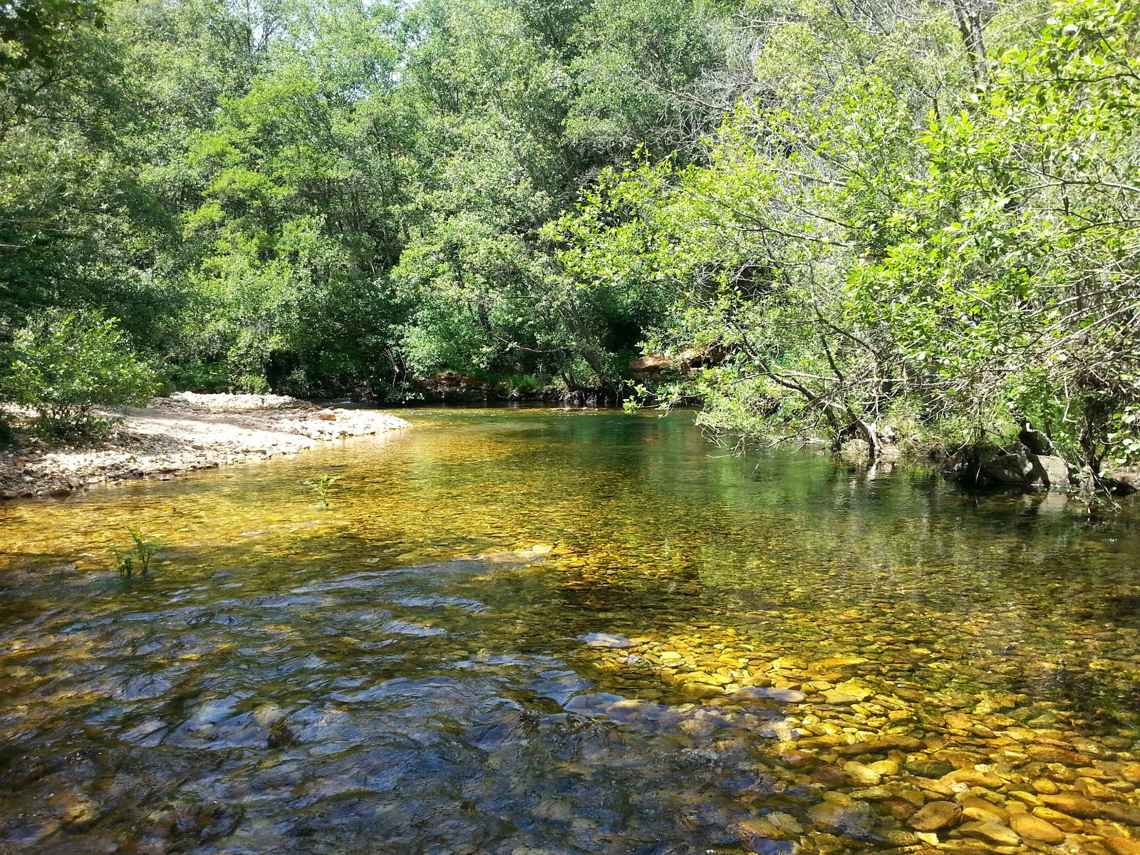 HISTORIA DE UN DÍA DE PESCA EN INICIO, RÍO OMAÑA ( hacer clik )