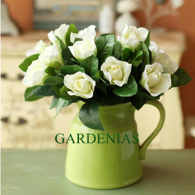 ✿GARDENIAS✿