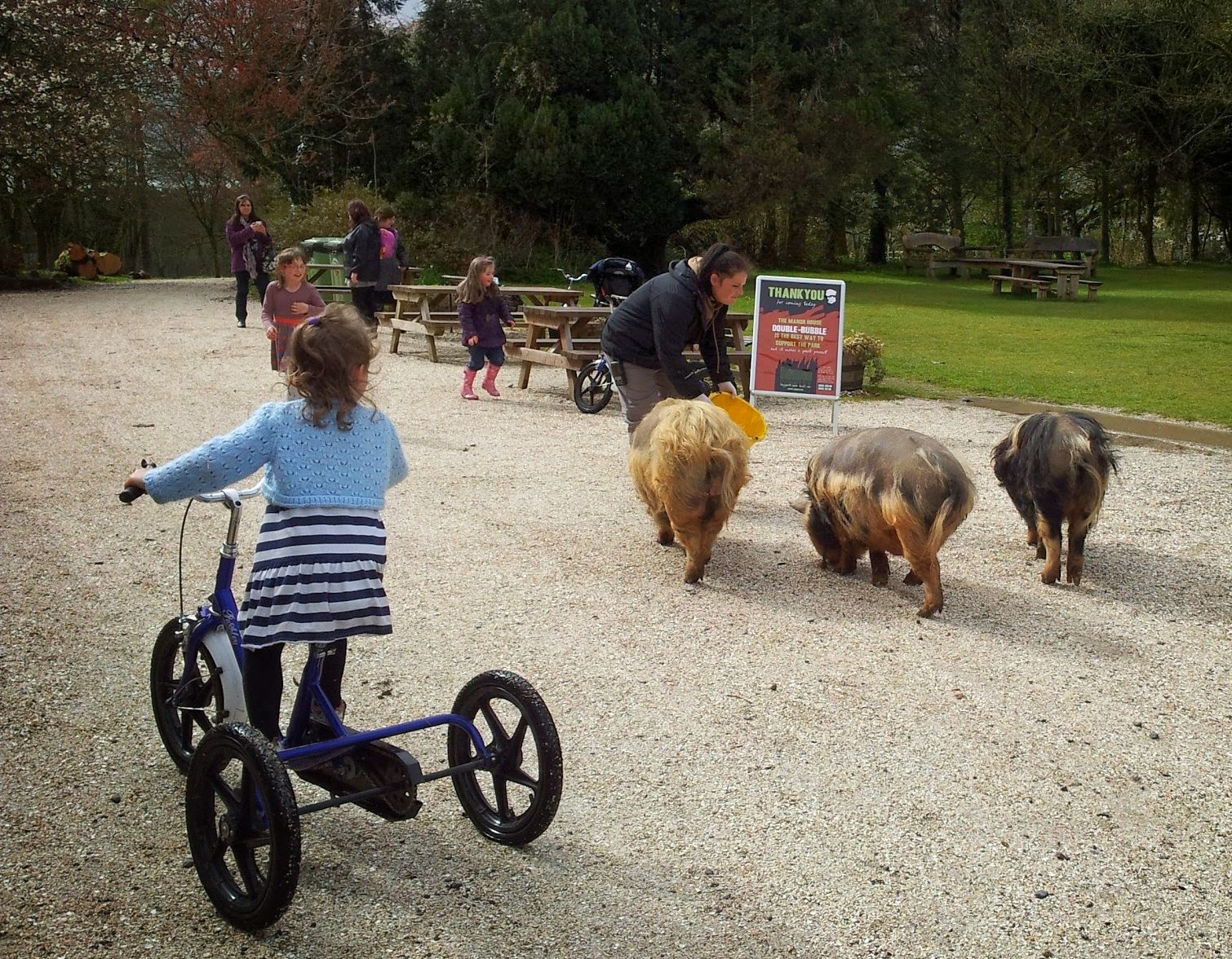 Meeting the Funky Gibbons at Manor House Wildlife Park CountryKids