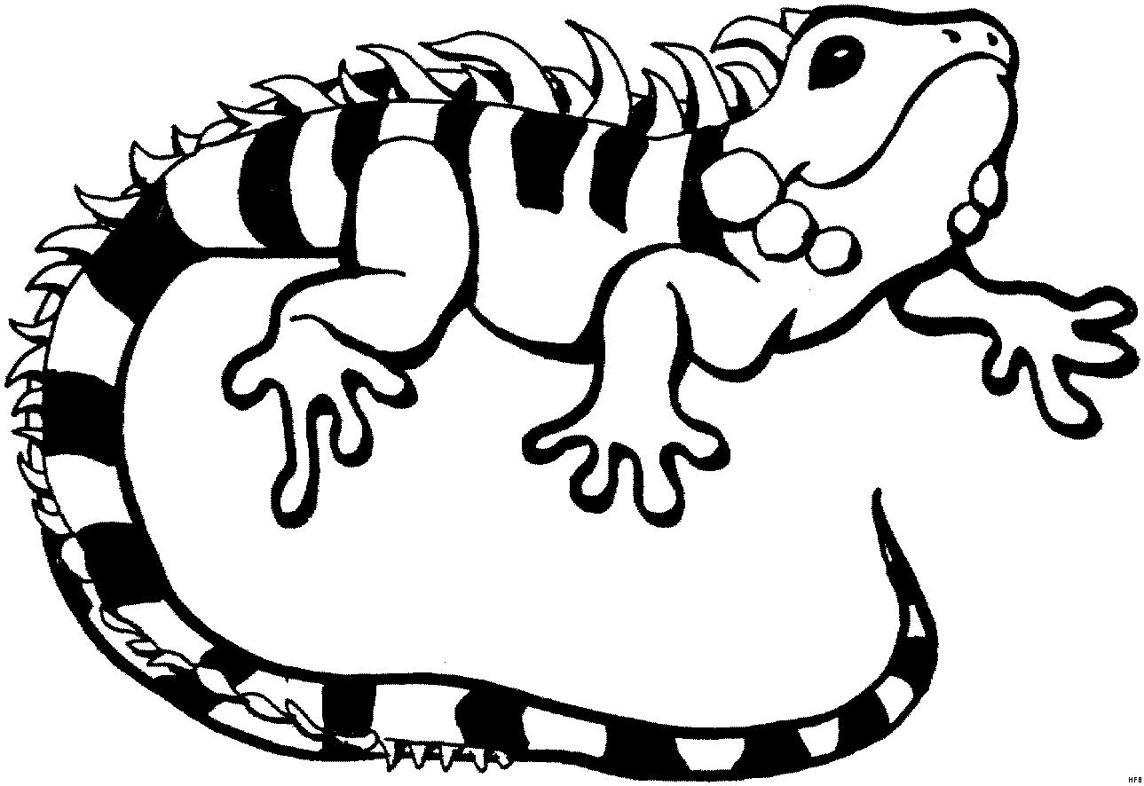 Imagen de iguana para colorear - Imagui