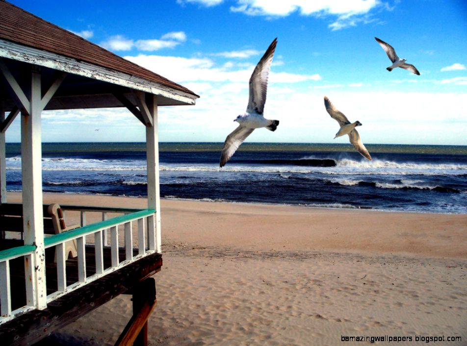 Natural Beauty landscapedesigntz Natural Beauty landscapedesigntz