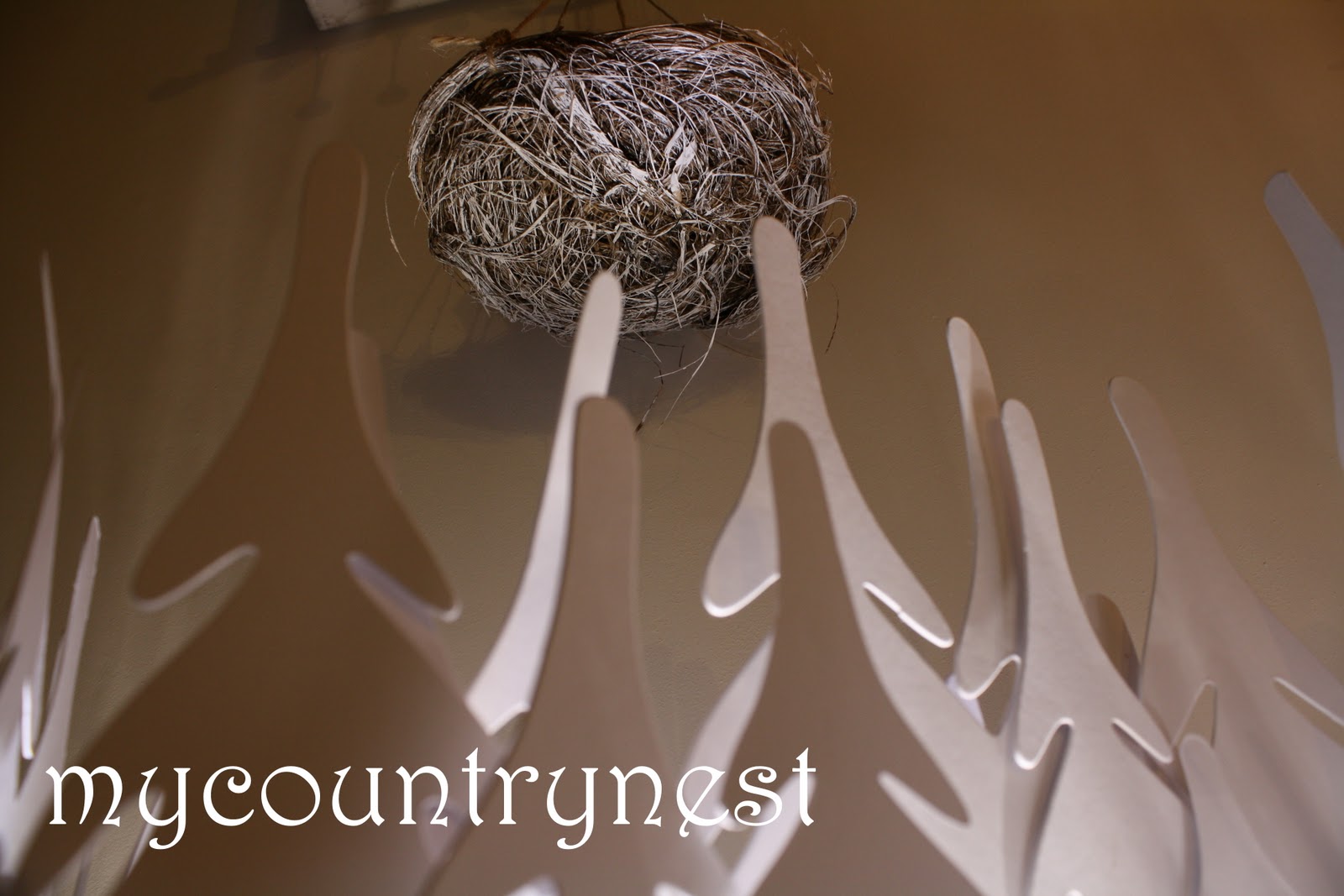 My country nest: il natale si avvicina anche nella "antica selva"