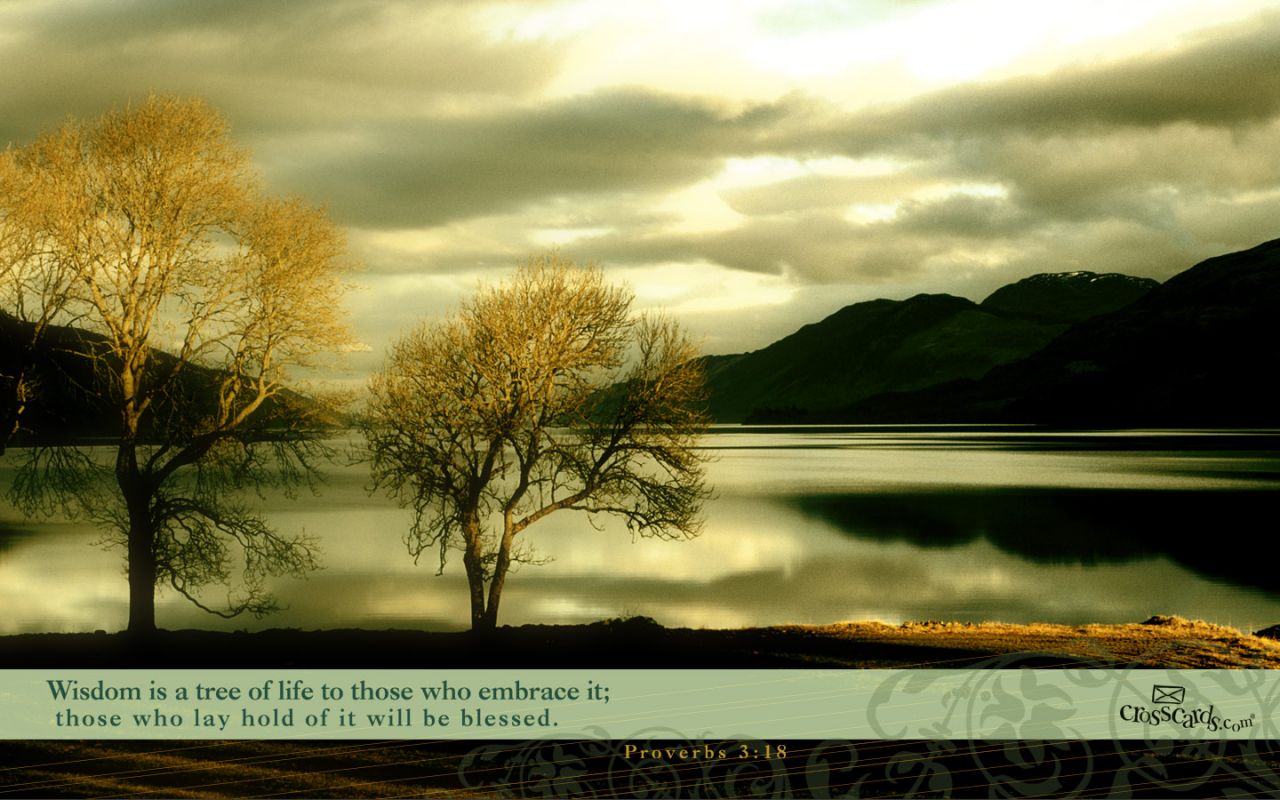 Stewallforyou: Scripture Wallpaper