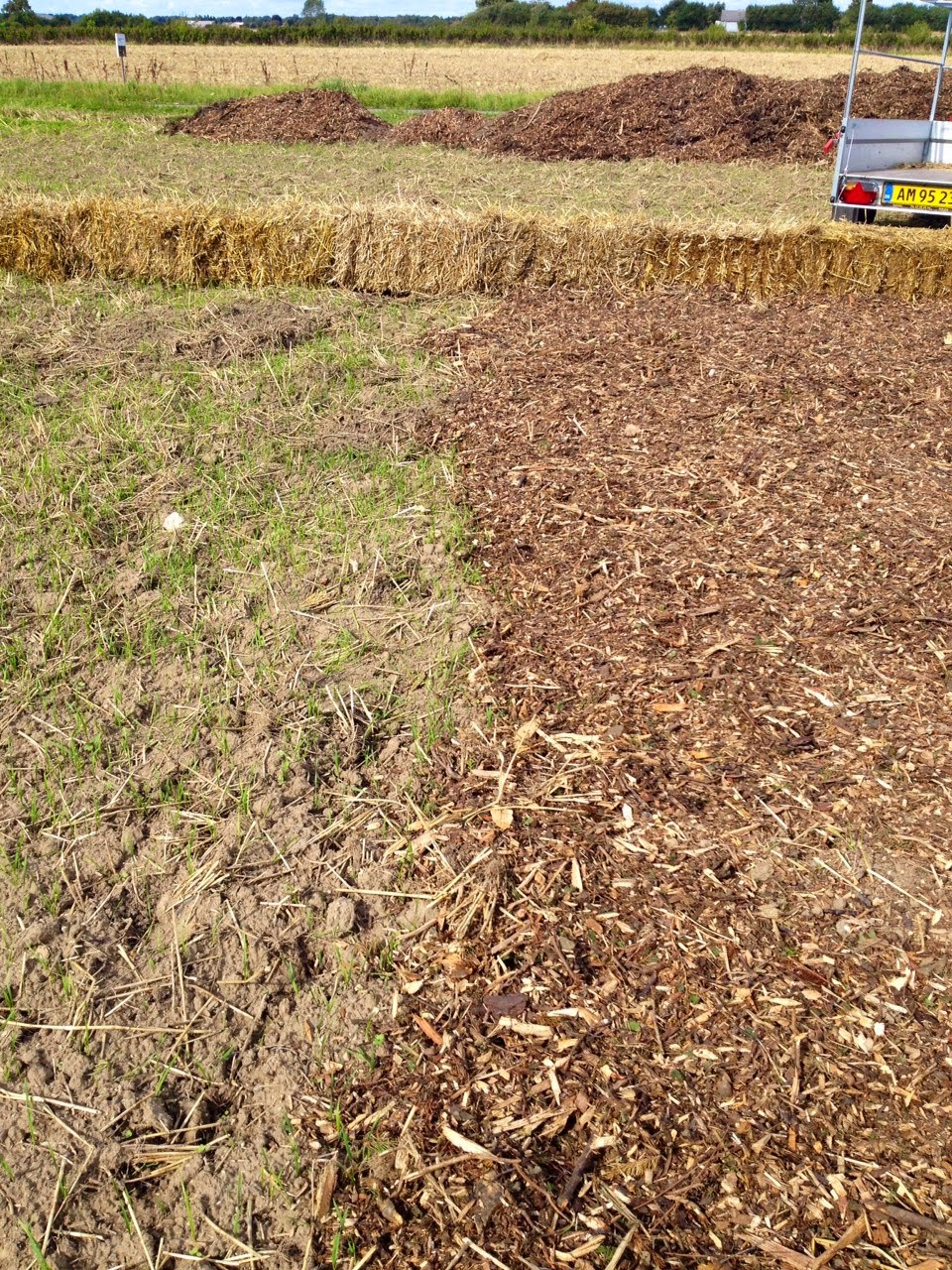 Chop Wood Carry Water Plant Seeds Wood Chip Gardening at The Willow Farm