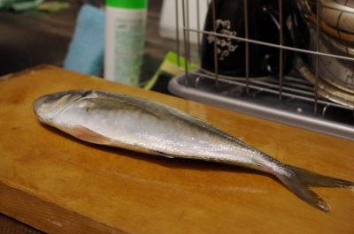 20110212-20110211_002.jpg