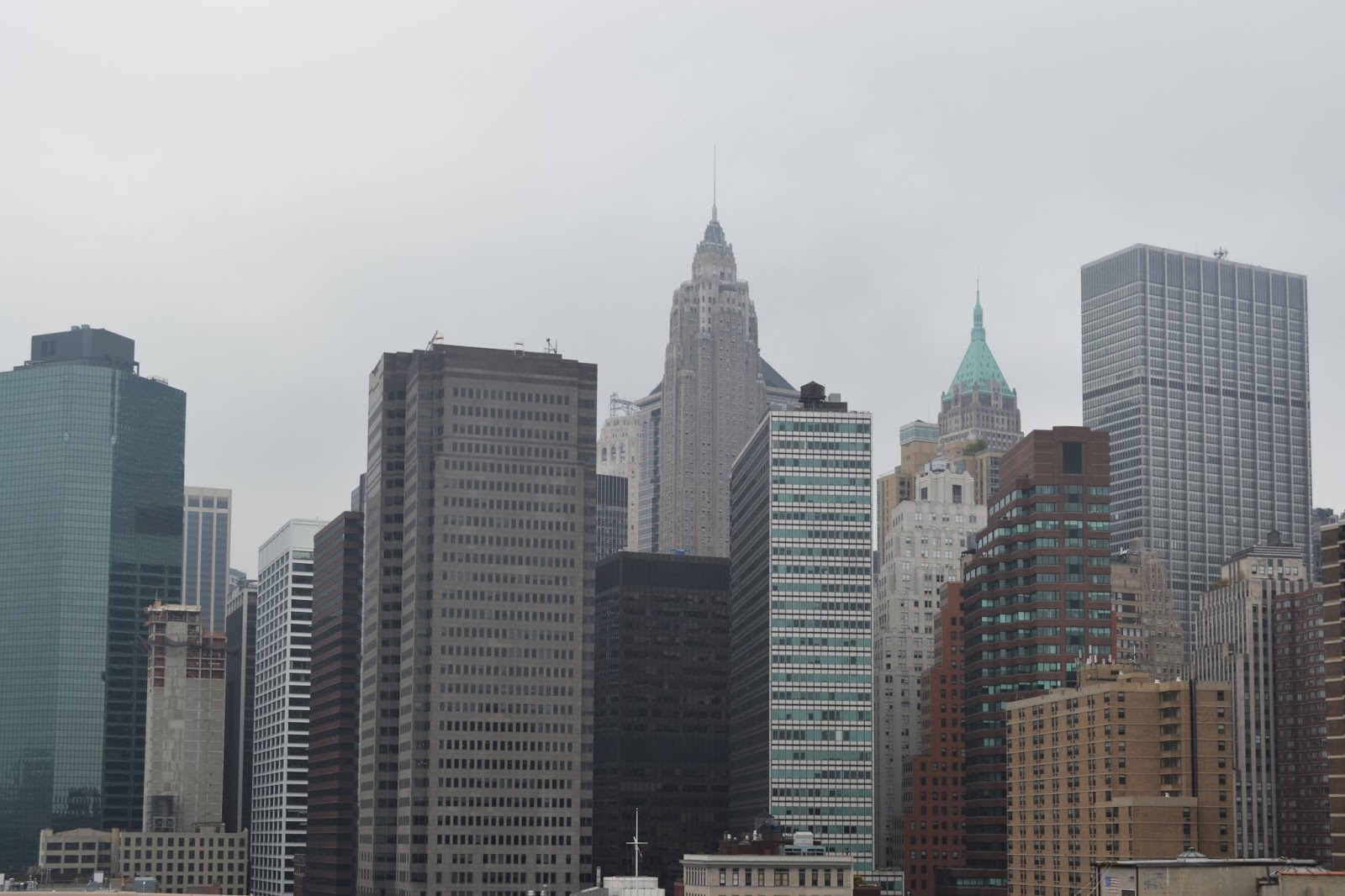 Schrodinger's Kot New York, New York!