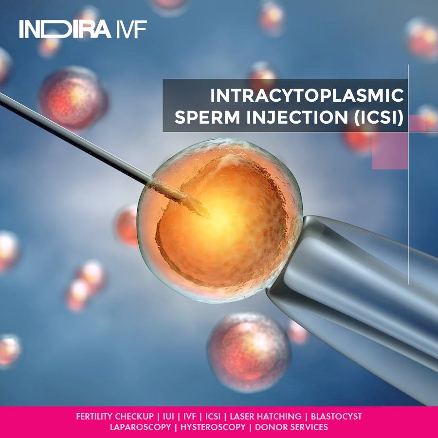 POVERTY IN SUB-SAHARAN AFRICA: IMPLICATION FOR IVF/ICSI