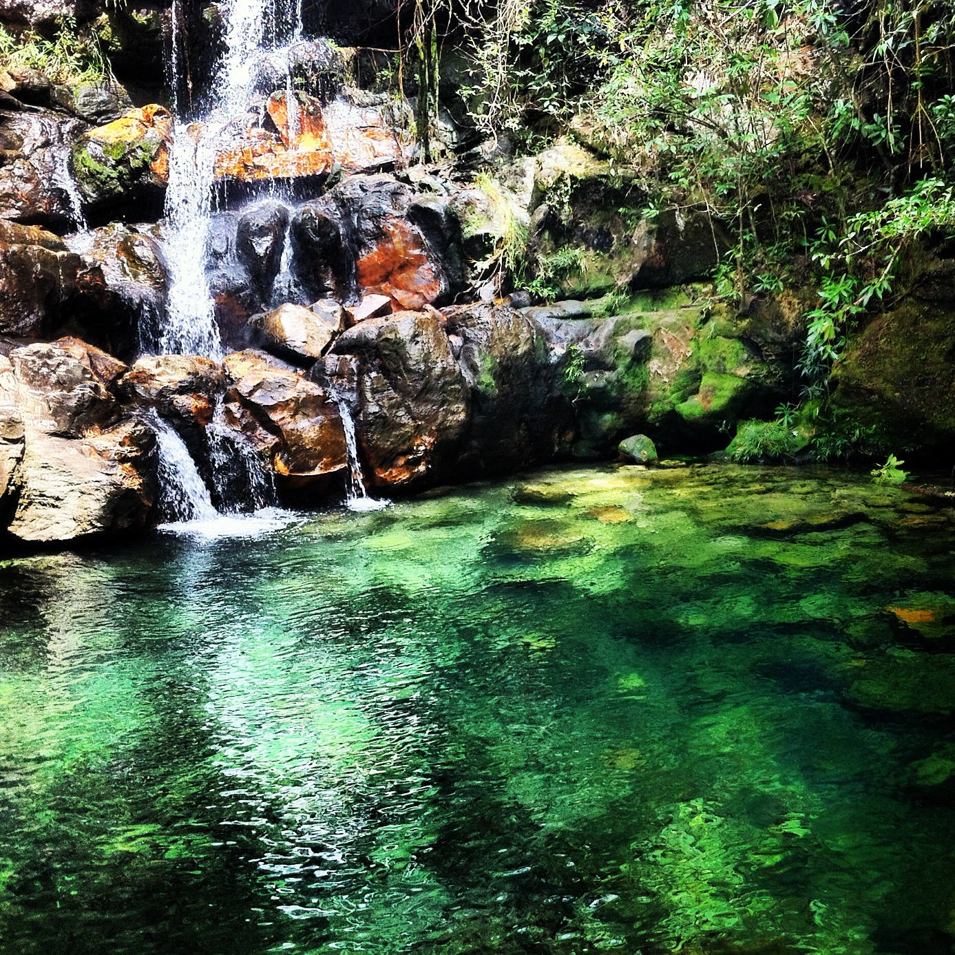 Chapada dos Veadeiros e Brasília