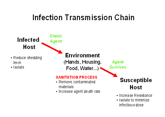 transmission of livestock diseases to humans essay On-site wastewater disposal and public health and wastes from humans and animals humans catch diseases from wastewater in a variety of ways. transmission of livestock diseases to humans essay On-site wastewater disposal and public health and wastes from humans and animals humans catch diseases from wastewater in a variety of ways.