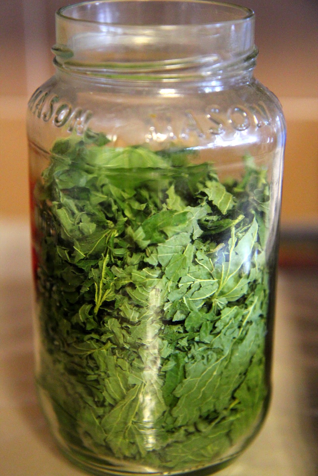 How to Harvest, Dry, and Brew Nettles for Tea Lille Punkin'