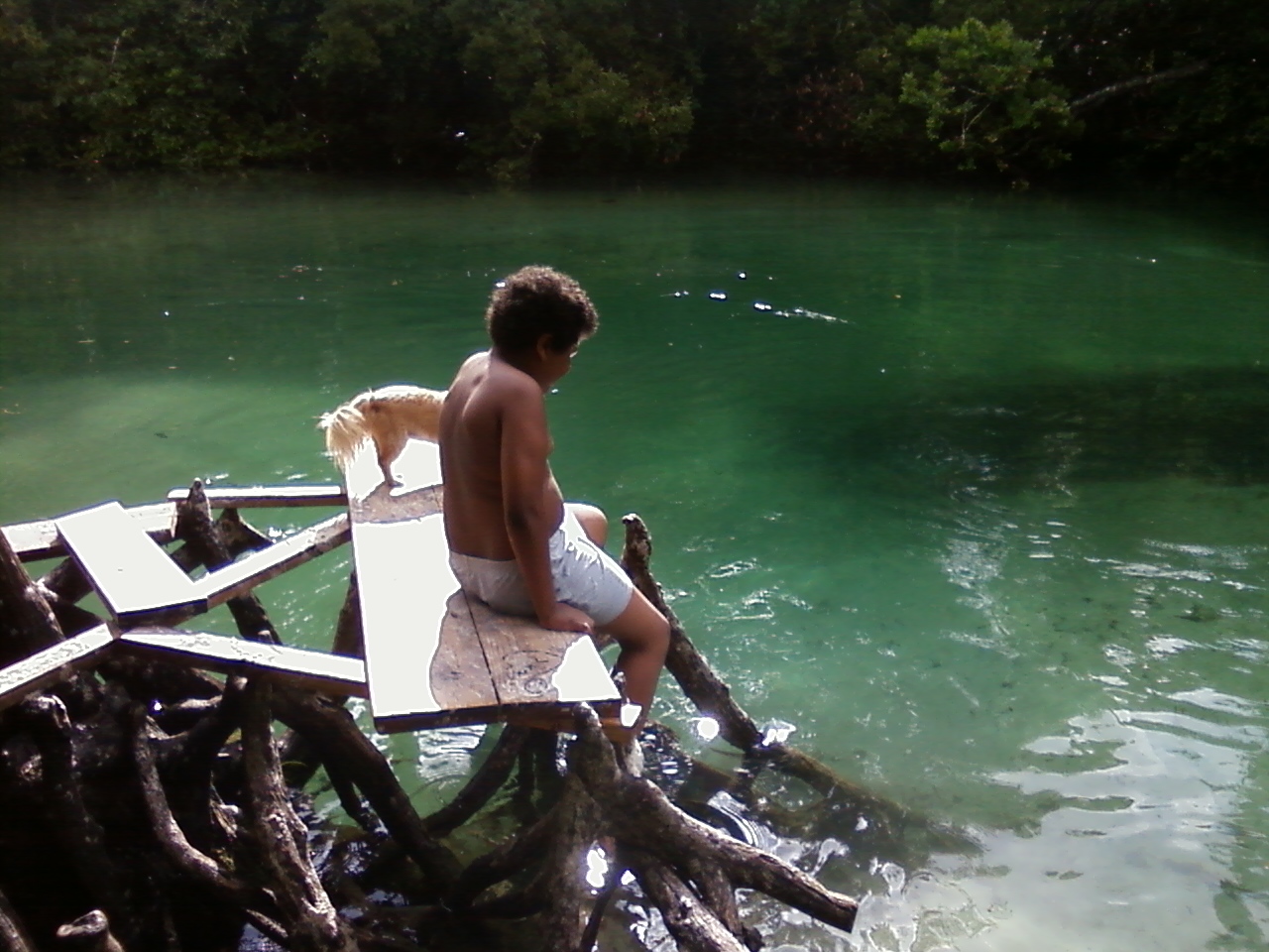 Jonny trying to decide whether he should swim in the Manatee water or not