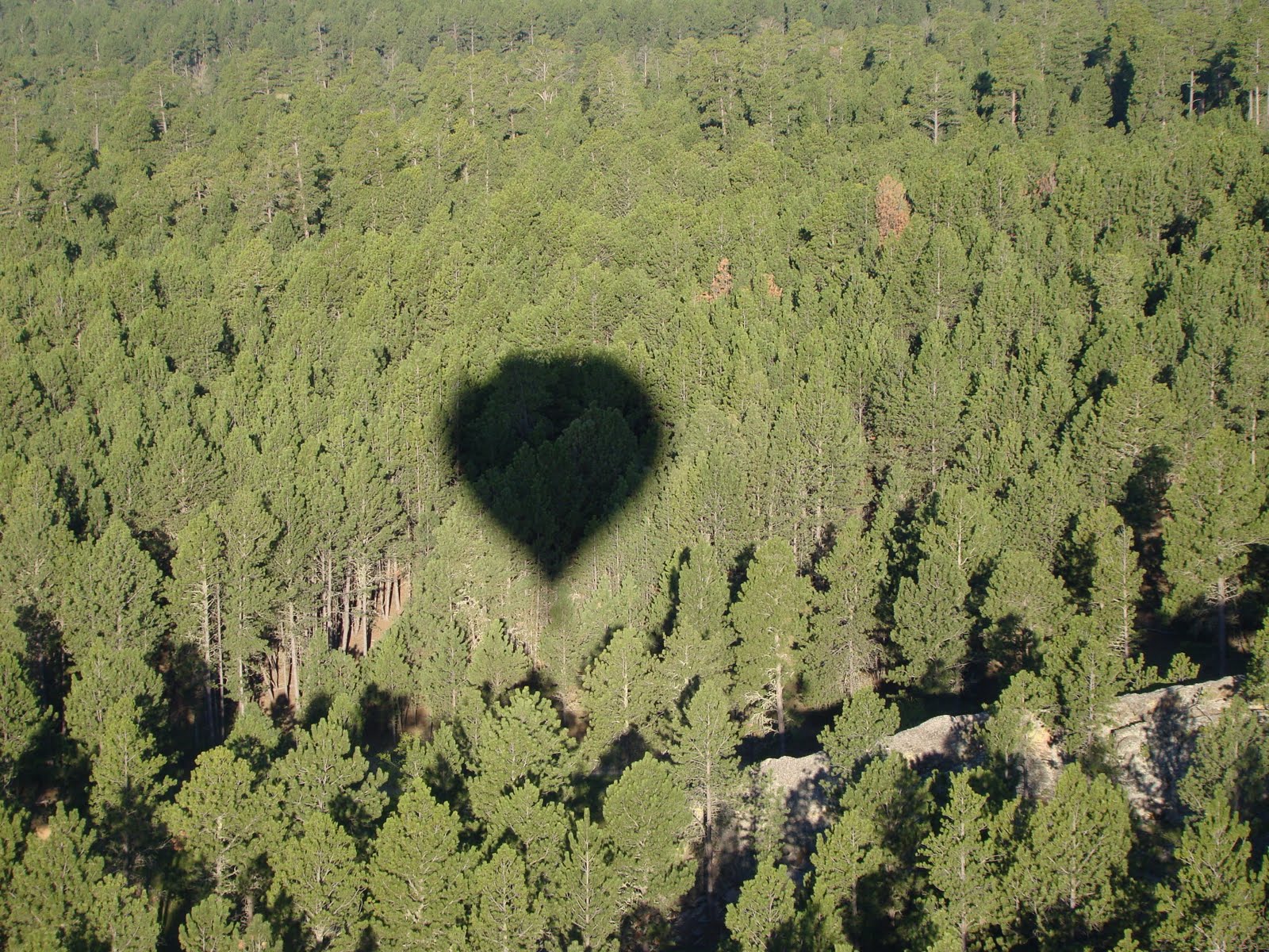 T & T do Yellowstone Hot Air Balloon and Mount Rushmore
