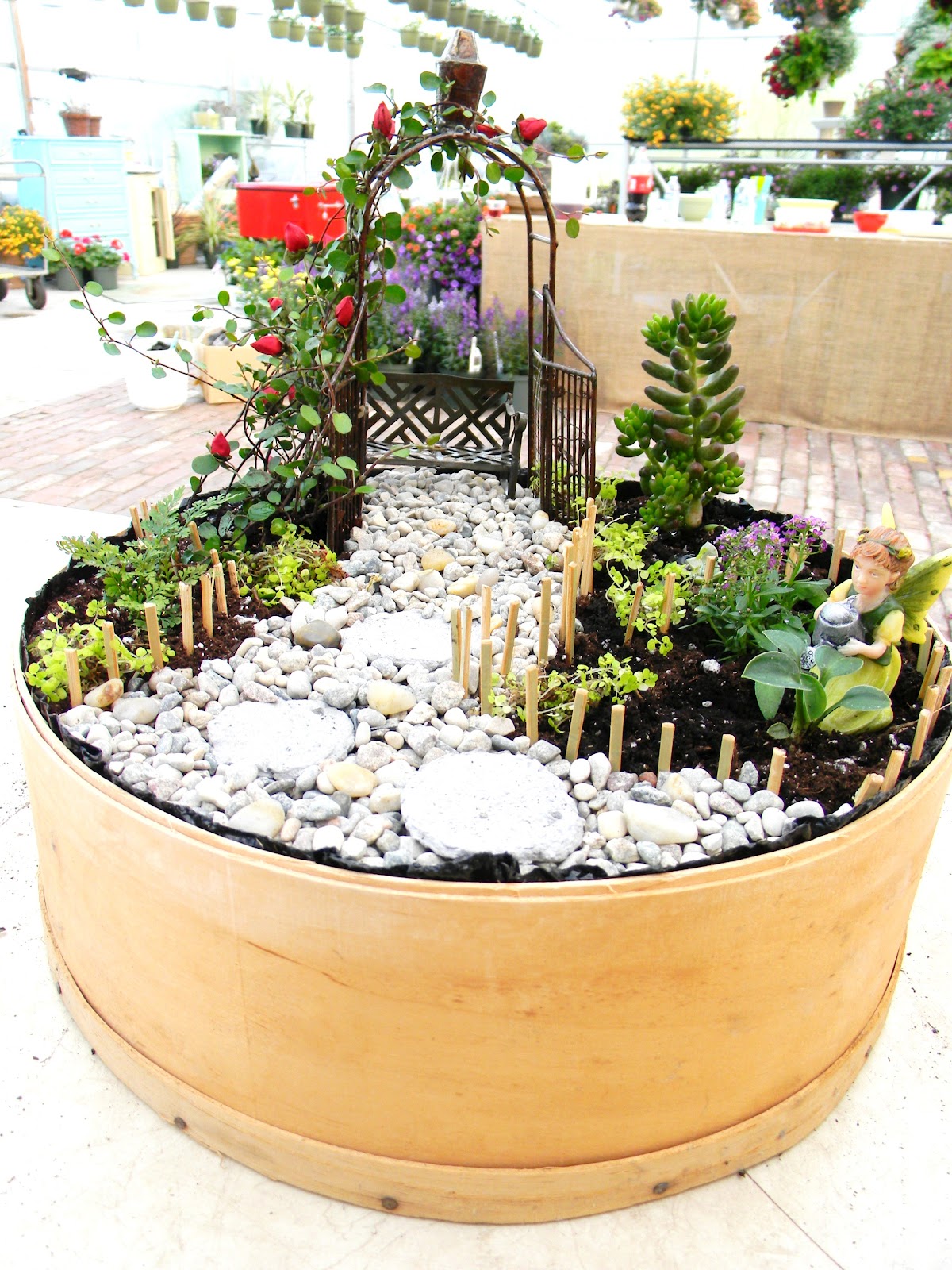 Everlasting Blooms: Fairy Gardens Galore!