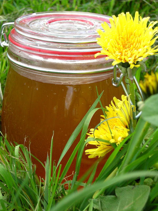 Eerst Koken Jam van paardebloemen