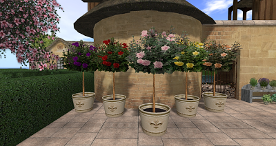 TTR-Kitchen+Garden-Potted+Rose+Topiary+S