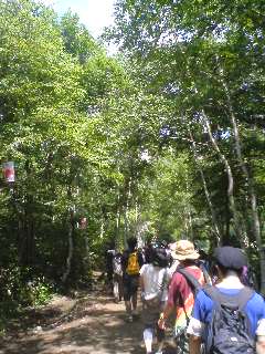 20090728-miti.jpg