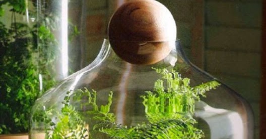 Vida-EcoVerde : Como hacer un jardin en una botella