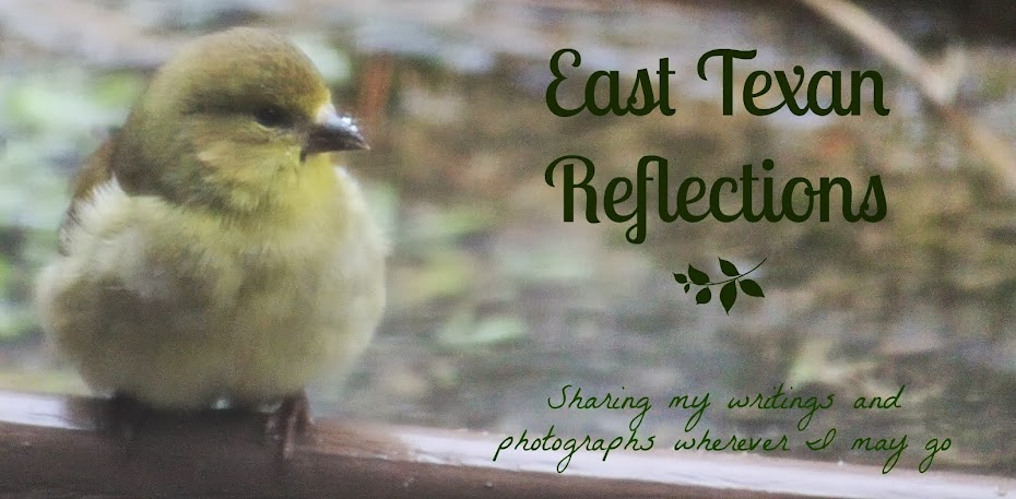 East Texan Reflections