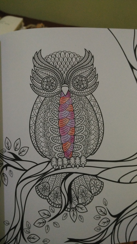 Ilmu Pengetahuan 1 Mewarnai Burung Hantu Dengan Crayon