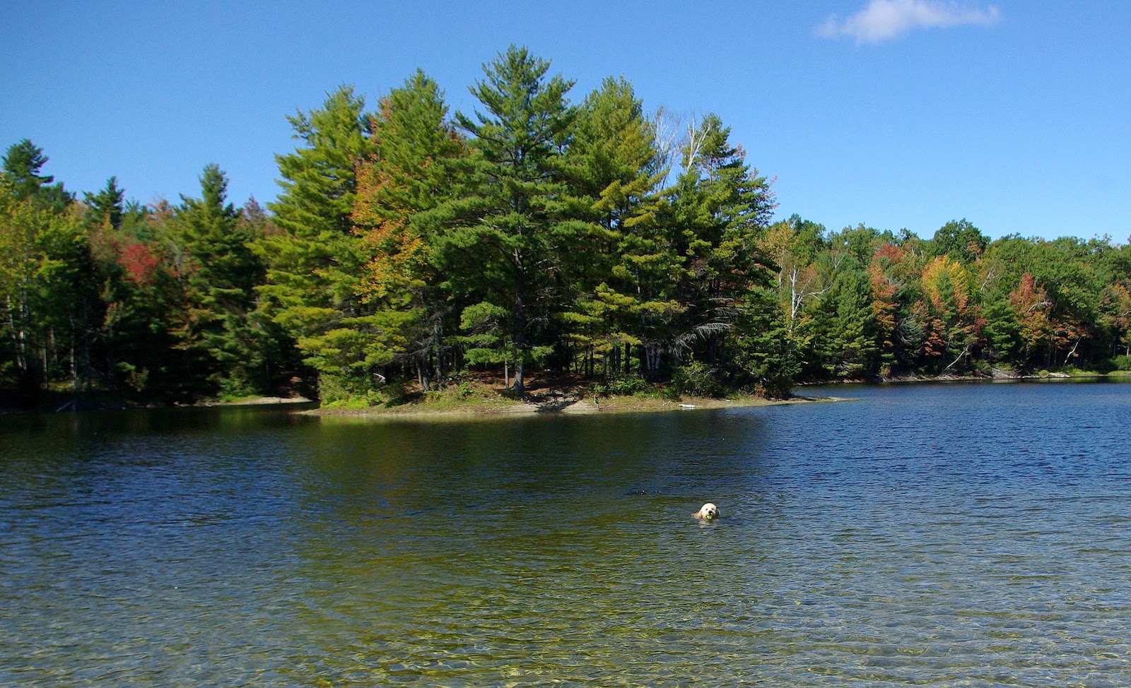 Hiking in Maine with Kelley 9/27/12 Hallowell Recreation Trails and