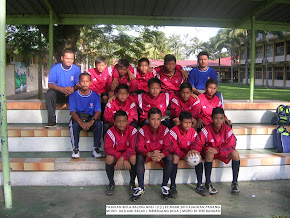 2010 mssj hb team