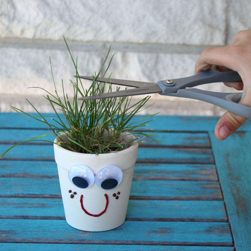 Easy Grass Head Planter Craft for Kids