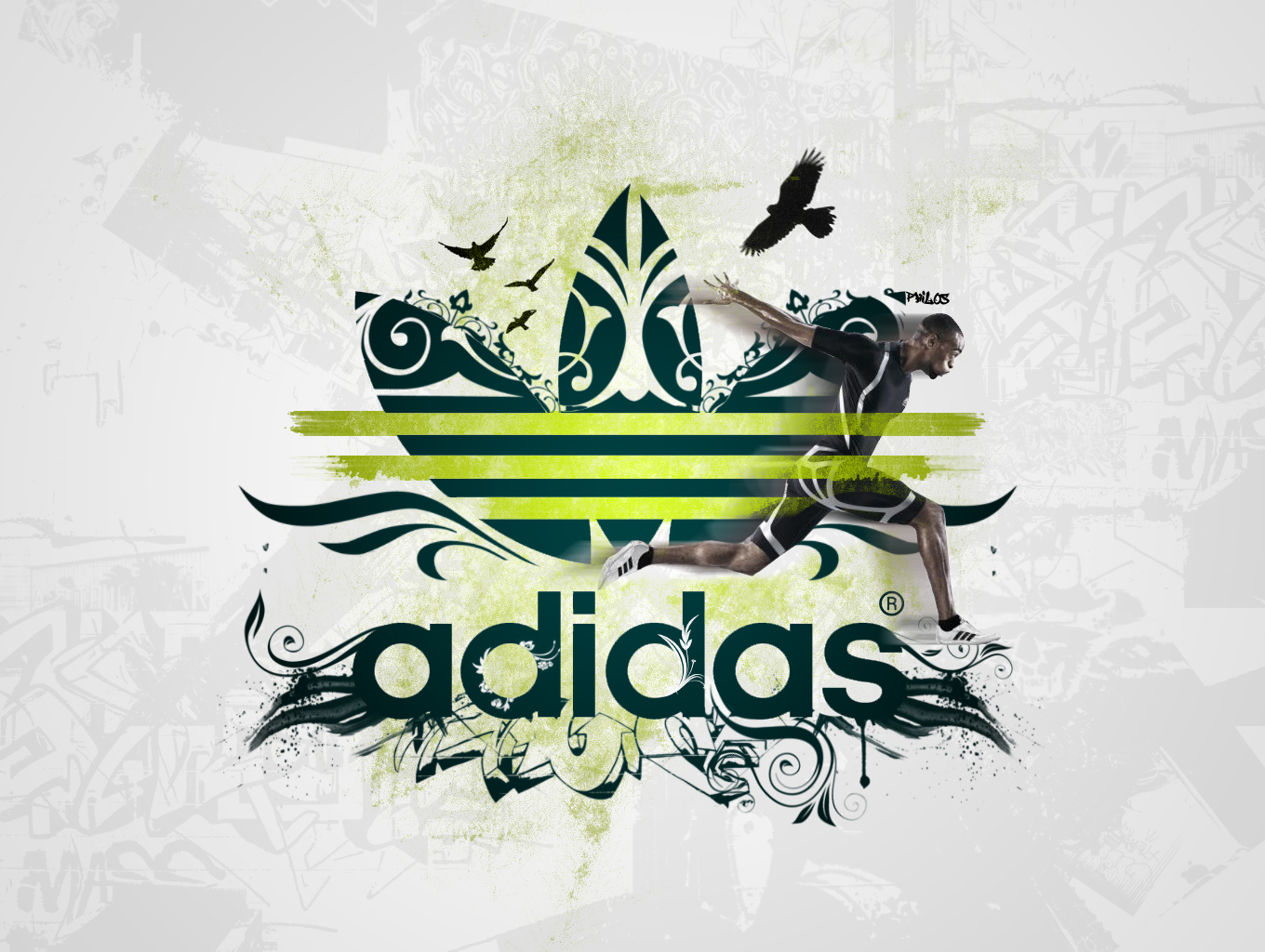 My Logo Pictures: Adidas Logos