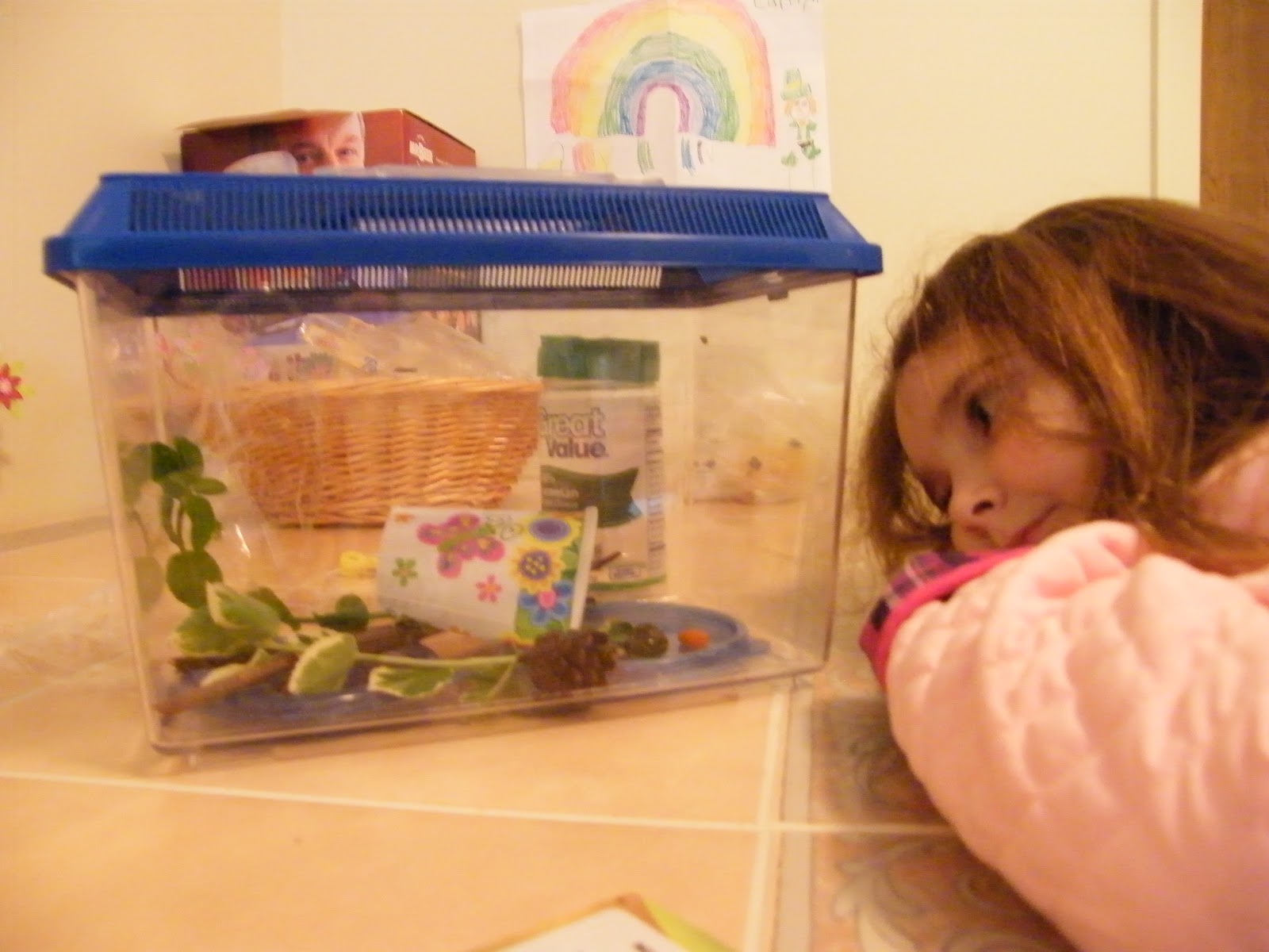 Exploring More Snail Crazy