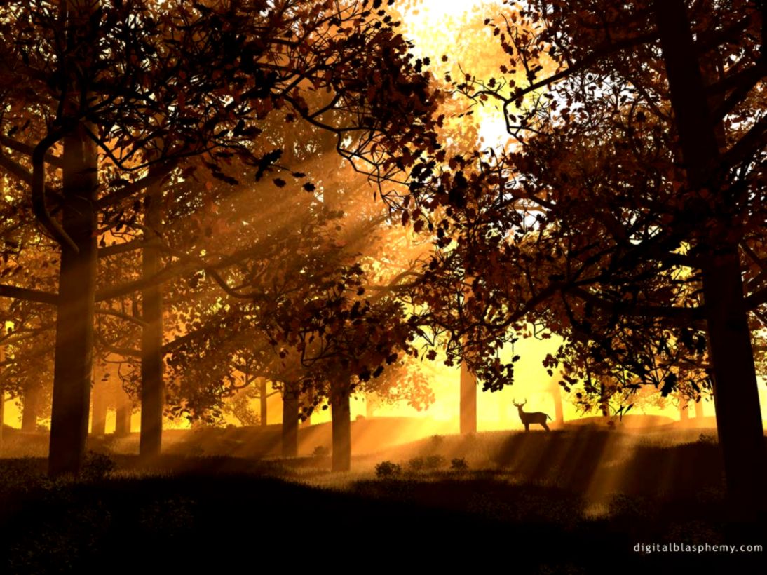 Cool Desktop Backgrounds Forest Cool Desktop Backgrounds Forest