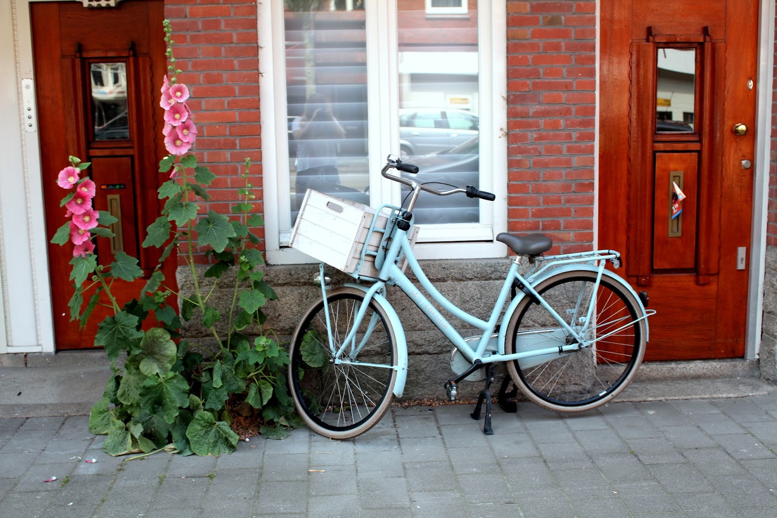 Open The Cage And Fly Away Amsterdam