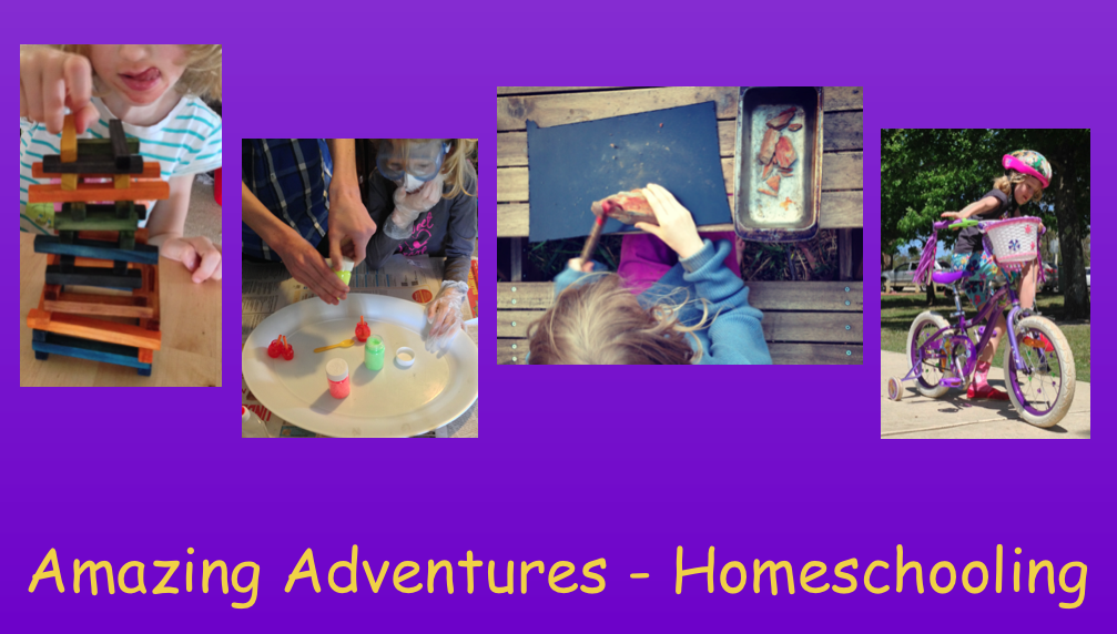 Amazing Adventures - Homeschooling