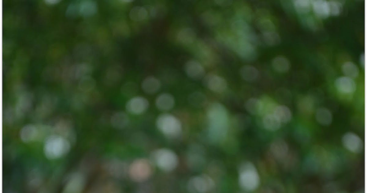 10 Top Benefits & Uses Of Alfalfa Sprouts For Hair, Health & Skin