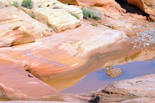 Desert Waterhole 124