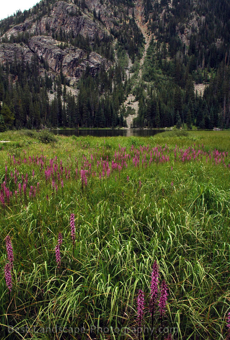 Colorado Wilderness Hiking and Camping in the Backcountry The Savage