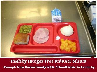 [Image: Sample+Michelle+Obama+School+Meal.jpg]