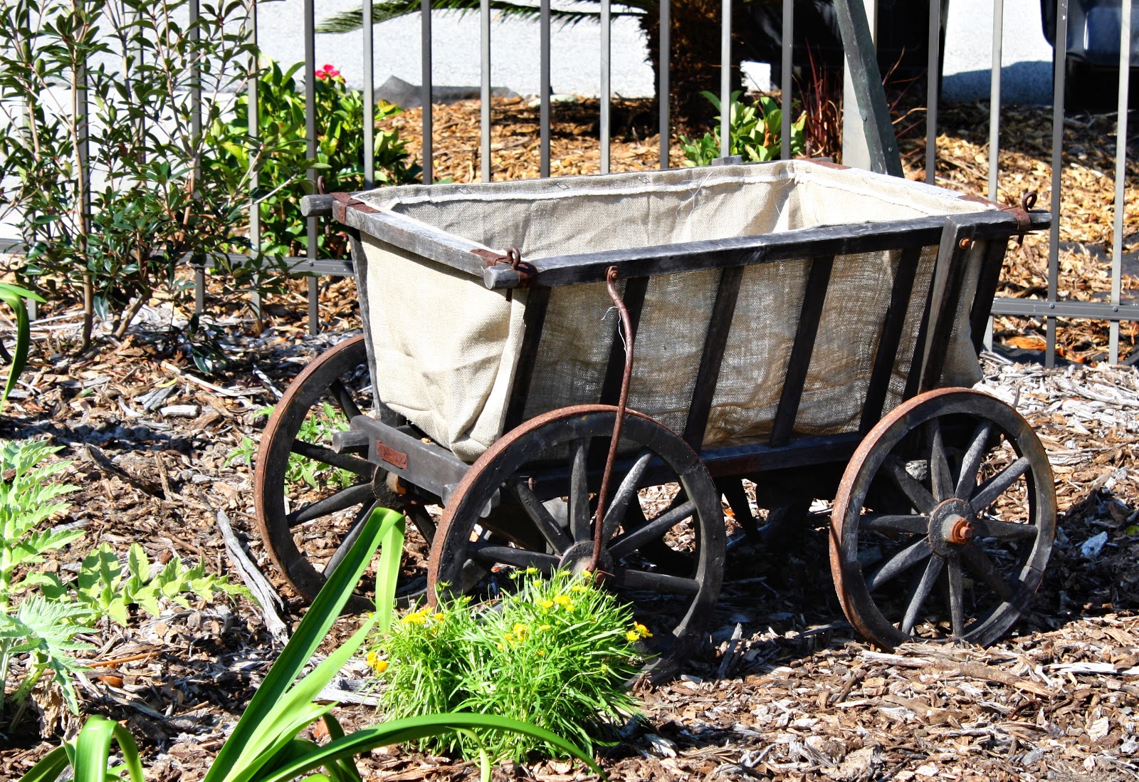 sew grown Growing potatoes vertically