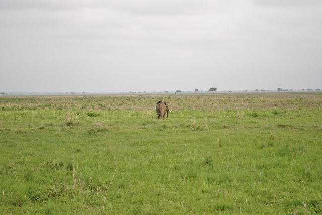 Mikumi National Park Tanzania