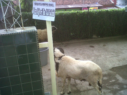 Qurban Yamsik - Happy Eid Al-Adha 1432 H